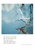 Snow Egret II Sympathy Card from Artists to Watch