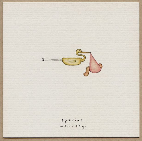 Special Delivery Baby Greeting Card - Pink by Beth Mueller