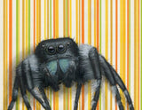 Jumping Spider Blank Greeting Card by Emily Uchytil