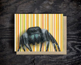 Jumping Spider Blank Greeting Card by Emily Uchytil