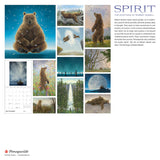 Spirit: The Paintings of Robert Bissell 2026 Wall Calendar