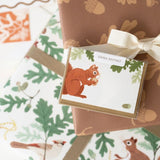Squirrel Mini Greeting Cards by Oana Befort