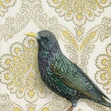 Starling Reproduction by Emily Uchytil