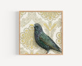 Starling Reproduction by Emily Uchytil