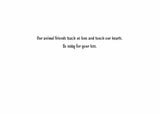 Sunny Spot Pet Sympathy Card from Artists to Watch