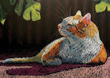 Sunny Spot Pet Sympathy Card from Artists to Watch