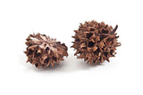 Warm Sweetgum 3/4" Slice Pendant Necklace by Merzatta Jewelry