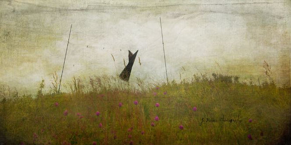 The Endless Song by Jamie Heiden