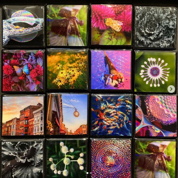 Photo Tiles by Hallie Bear