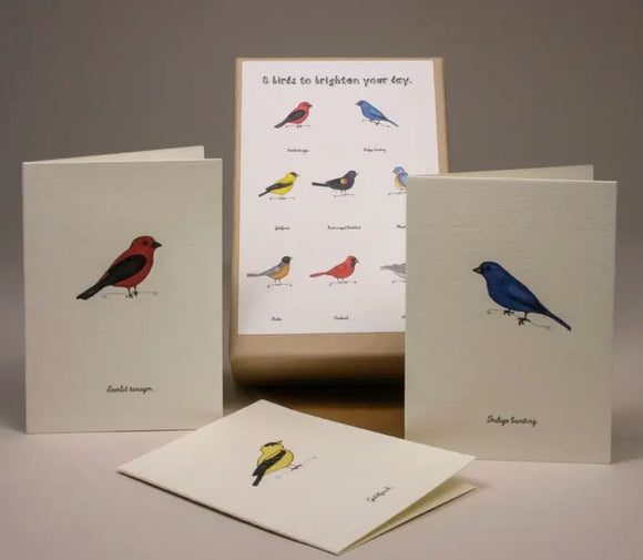 Birds Boxed Set of 8 Enclosure Greeting Cards by Beth Mueller