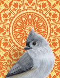 Tufted Titmouse Blank Greeting Card by Emily Uchytil
