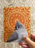 Tufted Titmouse Blank Greeting Card by Emily Uchytil