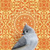 Tufted Titmouse Reproduction by Emily Uchytil