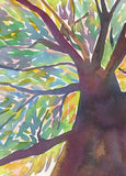 8 Assorted Boxed Trees Notecards by Artists to Watch