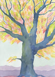8 Assorted Boxed Trees Notecards by Artists to Watch