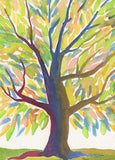 8 Assorted Boxed Trees Notecards by Artists to Watch