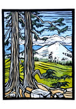 Molly Hashimoto: Trees Boxed Notecard Assortment