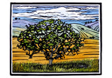 Molly Hashimoto: Trees Boxed Notecard Assortment