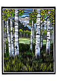 Molly Hashimoto: Trees Boxed Notecard Assortment