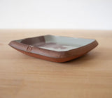 Triceratops Small Square Dish by Keith Hershberger