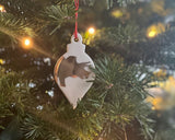 Triceratops Ornament by Keith Hershberger