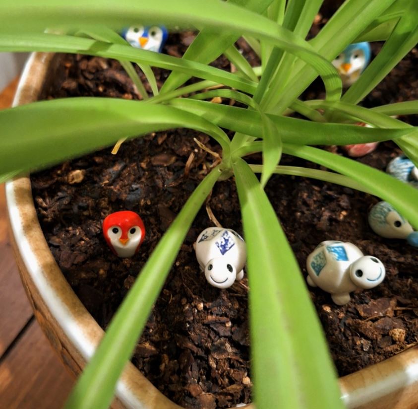 Timid Turtle by Plays In Mud Pottery – Outside the Lines Art Gallery