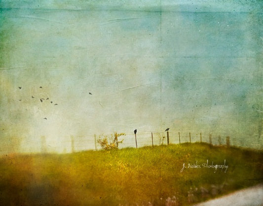 Use Your Wings by Jamie Heiden
