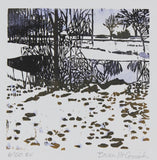 Winter Pond 6/100 by Brian McCormick