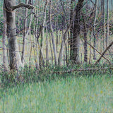 Woods' Edge - Spring by Brian McCormick