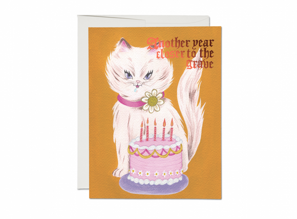 Kitty and Cake Birthday Greeting Card from Red Cap Cards