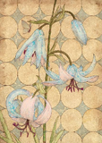 8 Assorted Boxed Flower Notecards by Artists to Watch