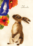 8 Assorted Boxed Rabbit Thank You Notecards by Artists to Watch