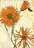 8 Assorted Boxed Flower Notecards by Artists to Watch