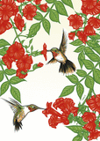 Hummingbirds Wedding Card from Artists to Watch