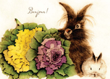Rabbit Bonjour Blank Card from Artists to Watch