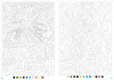 100 Mystery Illustrations to Unveil: A Color-by-Number and Dot-to-Dot Book