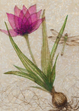 8 Assorted Boxed Flower Notecards by Artists to Watch