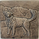 Australian Shepherd Dog With Tail 4" x 4" Tile by Whistling Frog
