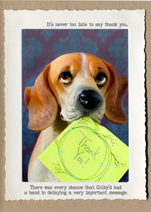 Dog Thank You Greeting Card by Jamie Redmond