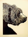Kodiak Woodcut Print by Cary Cochrane