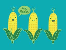 Birthday Corn Greeting Card from Great Arrow Cards