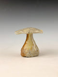 Mushroom - Garden Variety by Tab Link