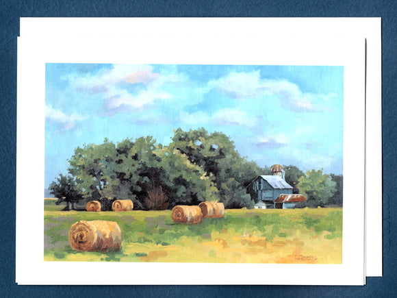 Baled Out Greeting Card by Liz Quebe