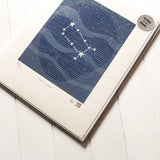 Stars of Gemini Silkscreen Print by Allison and Jonathan Metzger