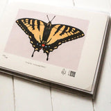 Tiger Swallowtail Silkscreen Print by Allison and Jonathan Metzger