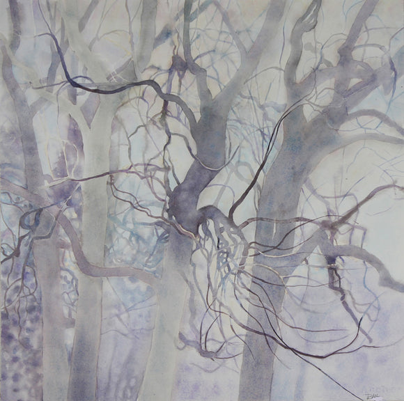 Oaks in Fog by Brian McCormick