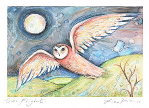Owl Flight Reproduction by Liza Paizis