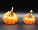 Sungold Pumpkins and Gourds by Corey Silverman