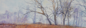 Savanna Fog by Brian McCormick