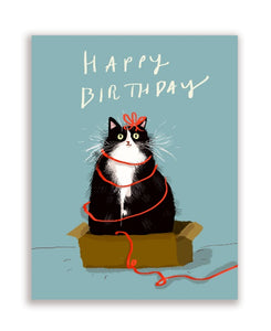 Birthday Box Kitty Cat Greeting Card by Jamie Shelman